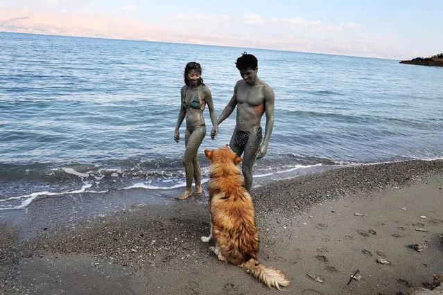 A dog looks on as an Israeli couple covered in mud walks along the shore of the Dead Sea, south of West Bank Palestinian city of Jericho on May 6, 2020, after authorities opened to the public natural reserves that were shut down in order to prevent the spread of the novel coronavirus. (Photo by Menahem Kahana/AFP Photo)