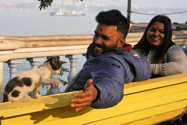 A couple play with a kitten early morning on the bank of the Hooghly River, in Kolkata, India, Wednesday, November 26, 2025. (Photo by Bikas Das/AP Photo)