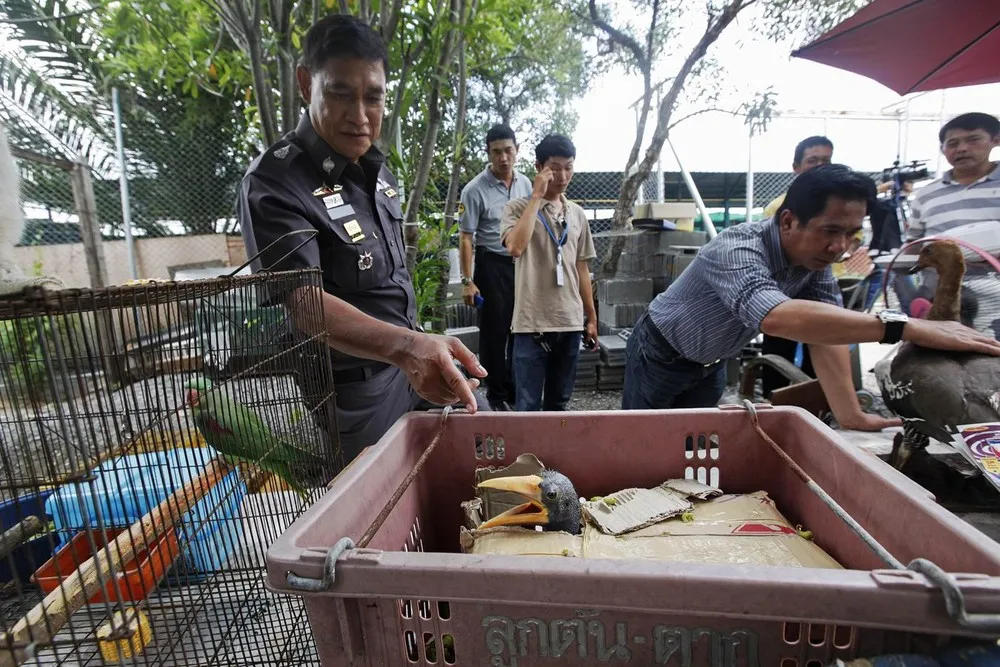 Police Seize Rare Animals from Thai Pet Store
