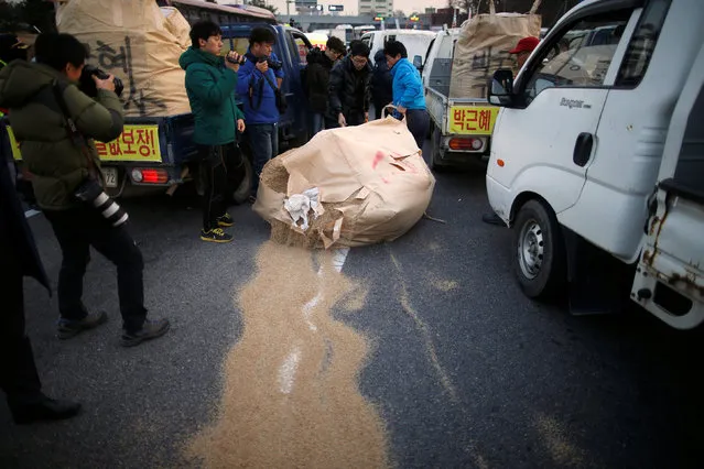 Farmers scatter rice brans as they are blocked while marching with their trucks toward Seoul to attend a weekend protest calling for South Korean President Park Geun-hye to step down, at a tollgate in Ansung, South Korea, November 25, 2016. (Photo by Kim Hong-Ji/Reuters)