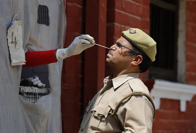 A health worker takes a nasal swab sample of a policeman to test for COVID-19 in Prayagraj, India, Saturday, May 8, 2021. Two southern states in India became the latest to declare lockdowns, as coronavirus cases surge at breakneck speed across the country and pressure mounts on Prime Minister Narendra Modi's government to implement a nationwide shutdown. (Photo by Rajesh Kumar Singh/AP Photo)