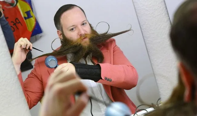 Brandon Biggens uses a hairdryer to style his beard as he prepares for the Beard World Championships on November 2, 2013 in Leinfelden-Echterdingen, southern Germany. More than 200 competitors from over 20 countries will take part in the event. (Photo by Franziska Kraufmann/AFP Photo/DPA)