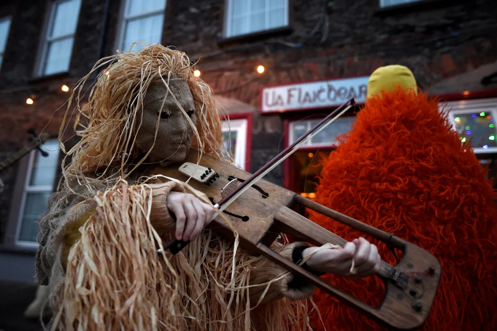 Wren Day in Ireland