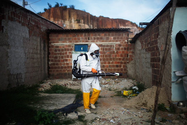 A city worker fumigates in an effort to eradicate the mosquito which transmits the Zika virus on February 4, 2016 in Recife, Pernambuco state, Brazil. Officials say as many as 100,000 people may have already been exposed to the Zika virus in Recife, which is being called the epicenter of the crisis, although most never develop symptoms. Tourists are arriving in the city for its famed Carnival celebrations which begin tomorrow. (Photo by Mario Tama/Getty Images)