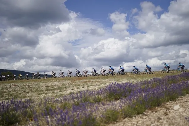 The pack rides during the eleventh stage of the Tour de France cycling race over 198.9 kilometers (123.6 miles) with start in Sorgues and finish in Malaucene, France, Wednesday, July 7, 2021. (Photo by Daniel Cole/AP Photo)