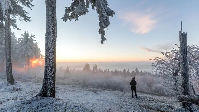 A dusting of snow covers the ground and clings to trees on the Grosser Feldberg mountain near Frankfurt, Germany on November 24, 2018. (Photo by Jan Eifert)