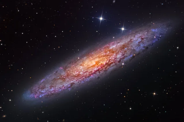 The Sculptor GalaxyBernard Miller, Martin Pugh (USA). This is an image of NGC 253, also known as the Sculptor Galaxy. It is a spiral galaxy about 11 million light years away in the constellation Sculptor. It is a starburst galaxy, which means it undergoes periods of intense star formation and is the largest galaxy in a group of galaxies called the Sculptor Group. (Photo by Bernard Miller and Martin Pugh/National Maritime Museum)