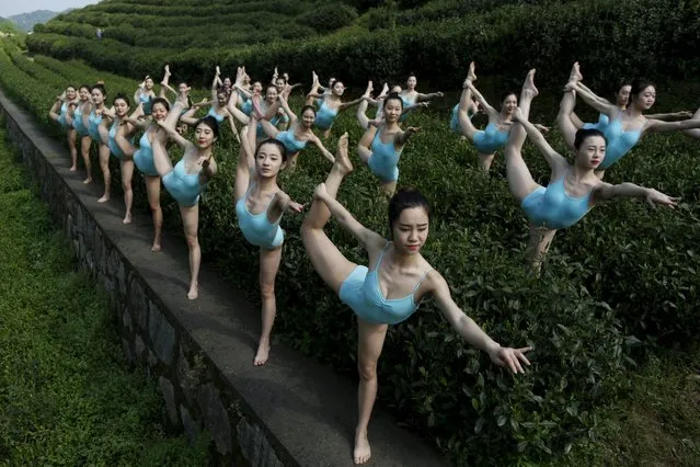 Girls perform yoga at a tea plantation as a part of TV program selecting members for a female performance group in Hangzhou, Zhejiang Province, China, April 17, 2016. (Photo by Reuters/Stringer)