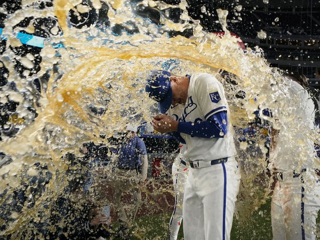 James McArthur #66 of the Kansas City Royals is doused by teammate Bobby Witt Jr. #7 after their 3-2 win over the Toronto Blue Jays at Kauffman Stadium on April 24, 2024 in Kansas City, Missouri. (Photo by Ed Zurga/Getty Images/AFP Photo)