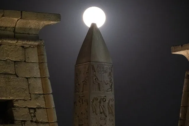 The waning gibbous moon rises behind the Obelisk of Ramses II (1279-1213 BC) and the Luxor Temple Pylon in Egypt's southern city of Luxor on January 19, 2022. (Photo by Amir Makar/AFP Photo)