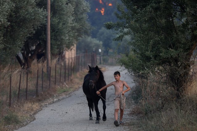 A boy moves a horse away from a wildfire burning in the village of Kalfas, in southern Greece on June 21, 2024. (Photo by Giorgos Moutafis/Reuters)