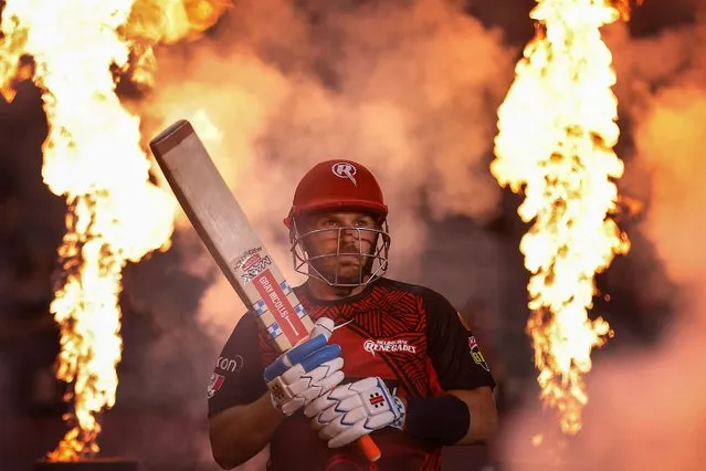 Aaron Finch of the Renegades walks out to bat during the Men's Big Bash League match between the Melbourne Renegades and the Sydney Thunder at Marvel Stadium, on January 08, 2022, in Melbourne, Australia. (Photo by Daniel Pockett – CA/Cricket Australia via Getty Images)