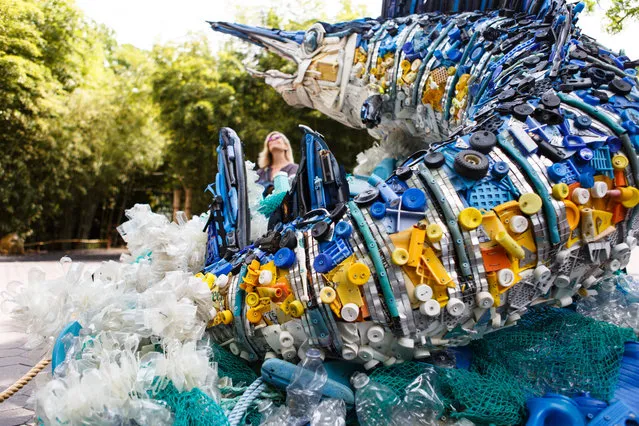 A visitor to the National Zoo checks out a marlin made from found waste from the ocean. The fish is part of a larger project entitled  “Washed Ashore: Art to Save the Sea”. (Photo by Keith Lane/The Washington Post)