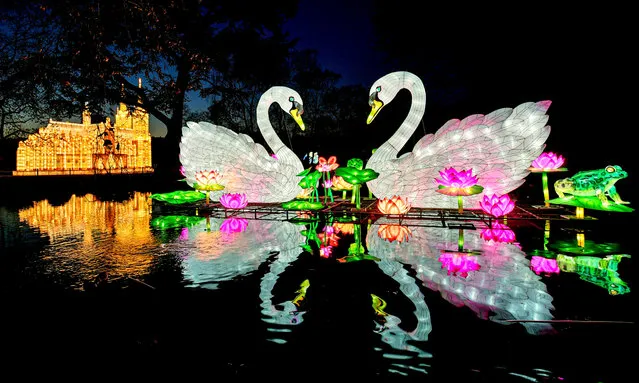 Light sculptures glow in the dark at the zoo in Cologne, Germany, 04 December 2019. The artworks are on display at the zoo as part of the China Light Festival that runs until 09 January 2020 and features more than 70 light installations on the zoo grounds. (Photo by Sascha Steinbach/EPA/EFE)