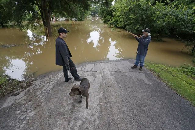 James Billings, left, and his dog Shadow, stands with Philip McBride, right, as they watch the water rise Wednesday, June 1, 2016, in Horseshoe Bend, Texas. Residents of some rural southeastern Texas counties were bracing for more flooding along the Brazos River, which reached a record high Tuesday as more rain was expected in the coming days. (Photo by Paul Moseley/Star-Telegram via AP Photo)