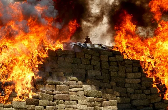 A burning pile of marijuana and other drugs are being incinerated at a camp of the Mexican Army's 28th infantry battalion in Tijuana, Mexico, August 18, 2015. A total of 138.7 tonnes of drugs seized during this administration, including 7 tonnes seized in Tijuana, were burned simultaneously in nine states across the country, in an incineration operation coordinated by Mexico's Attorney General office, local media reported. (Photo by Jorge Duenes/Reuters)