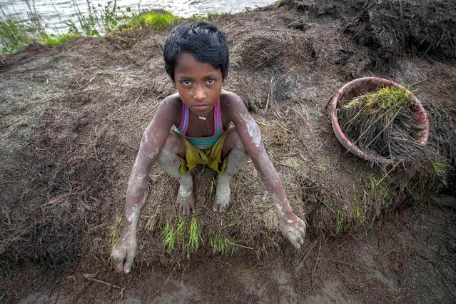 Hojai Palam takes rest as he dries flood damaged seeds and crops with his father on a road in Pobitora in Morigaon district east Gauhati, Assam state, India, Tuesday, June 28, 2022. Erratic and early rains had triggered unprecedented floods in the region. (Photo by Anupam Nath/AP Photo)
