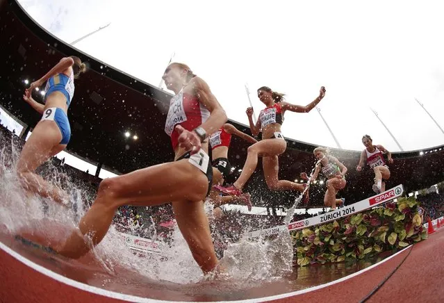 Sviatlana Kudzelich of Belarus (2nd L) Natalya Vlasova of Russia (L) and Gesa-Felicitas Krause of Germany (4th L) clear a water obstacle in a women's 3000 metres steeplechase heat during the European Athletics Championships at the Letzigrund Stadium in Zurich August 15, 2014. (Photo by Phil Noble/Reuters)