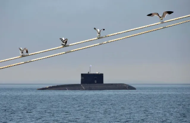 Seagulls seat on a rope as a submarine sails during a rehearsal for the Navy Day parade in the far eastern port of Vladivostok, Russia, July 30, 2016. (Photo by Yuri Maltsev/Reuters)