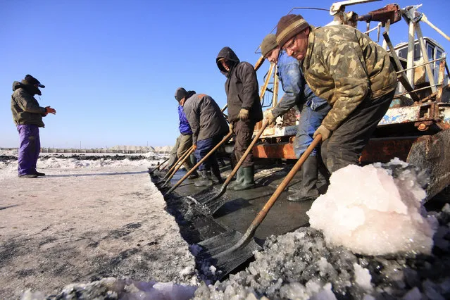 Laborers work at a salt production site at the Sasyk-Sivash lake near the city of Yevpatoria in Crimea, October 5, 2014. (Photo by Pavel Rebrov/Reuters)