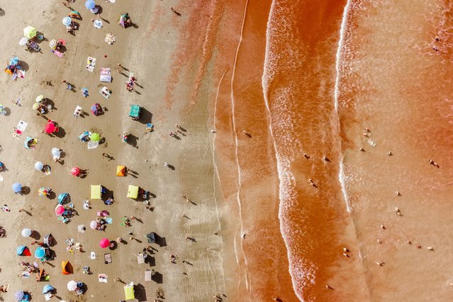 This aerial photo, taken on Friday, February 21, 2025, shows a beach in Mar del Plata, Argentina, that has turned an unusual reddish color because of a large amount of red algae. (Photo by Diego Izquierdo/AFP Photo)