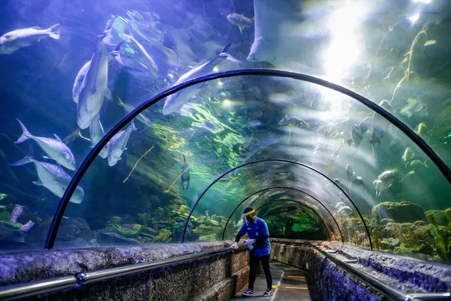 A worker wearing a protective face mask cleans up the glass of the aquarium tunnel during preparations for the reopening of Sea World amusement park amid an easing of the large scale coronavirus restrictions in Jakarta, Indonesia, 15 June 2020. Indonesian government has started to ease COVID-19 lock-down restrictions in an effort to restart the economies and help people in their daily routines after the outbreak of coronavirus pandemic. (Photo by Mast Irham/EPA/EFE)