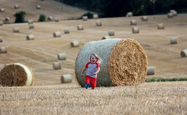 As the Summer nears it end and schools return 4 year old Sam Smith from Delgany amongst the Straw bales at Bellevue, Delgany, Wicklow on August 26, 2022.  (Photo by Nick Bradshaw for The Irish Times)
