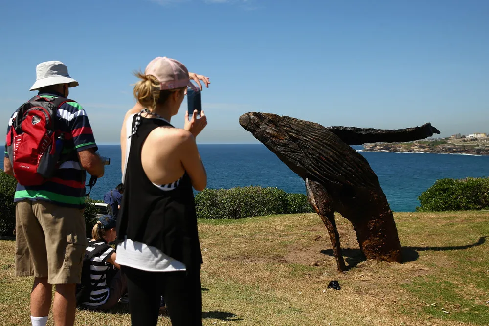 Sculptures by the Sea 2014 – Art on Australia's Beaches