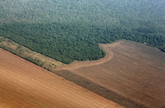 An aerial view shows the Amazon rainforest (top) bordered by land cleared to prepare for the planting of soybeans, in Mato Grosso state, western Brazil, October 2, 2015. (Photo by Paulo Whitaker/Reuters)