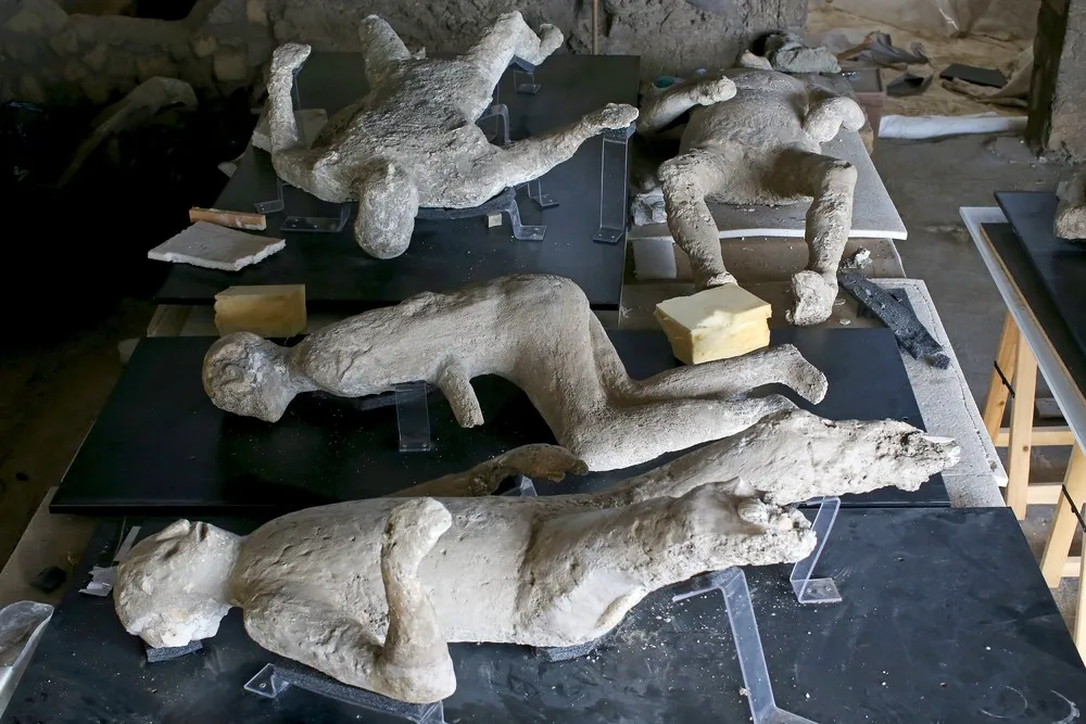 Frozen Lives of Pompeii