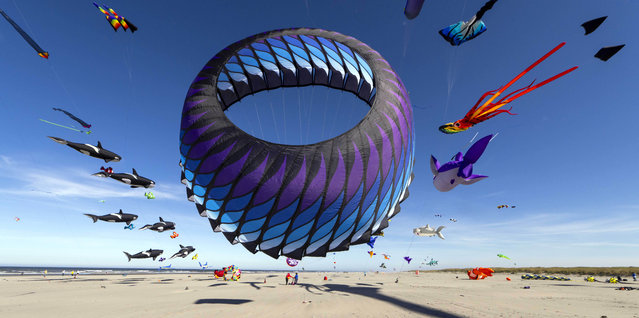 Enthusiasts make the most of the prevailing winds off the Pacific Ocean during the annual Washington State International Kite Festival in Long Beach on August 21, 2025. (Photo by Brian Cahn/ZUMA Press Wire/Rex Features/Shutterstock)