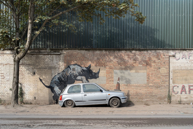 A new artwork unveiled by Banksy, depicting a rhinoceros which looks as though it is climbing on top of a car, the eighth artwork in his animal-themed collection, on Westmoor Street in Charlton, south east Londo on Monday, August 12, 2024. (Photo by Lucy North/PA Images via Getty Images)