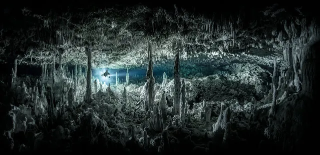 Wide angle category runner-up. Gothic Chamber by Martin Broen (US), taken in Cenote Monkey Dust, Mexico. (Photo by Martin Broen/Underwater Photographer of the Year 2021)