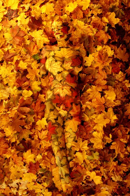 “Autumn”. (Photo by Johannes Stötter)