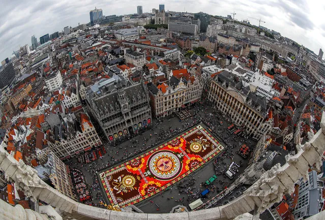 A 1,800 square meters flower carpet on the theme “Guanajuato, cultural pride of Mexico” and made with over 500,000 dahlias and begonias is seen at Brussels' Grand Place, Belgium on August 16, 2018. Picture taken with fish eye lens. (Photo by Yves Herman/Reuters)