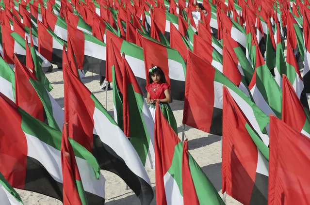 An Emirati girl walks inside the “Flags Garden” features 4000 UAE flags creating the shape of the country's map two days ahead of UAE National Day in Dubai, United Arab Emirates, Wednesday, November 30, 2016. (Photo by Kamran Jebreili/AP Photo)