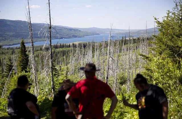 Searchers pause against the scenery while looking for clues in the disappearance of Ashley HeavyRunner Loring, who has been missing for over a year from the Blackfeet Indian Reservation in Babb, Mont., Thursday July 12, 2018. Ashley's disappearance is one small chapter in what one senator calls an epidemic, the unsettling story of missing and murdered Native American women and girls. No one knows precisely how many there are in the U.S., partly because some go unreported and others haven't been accurately documented. (Photo by David Goldman/AP Photo)