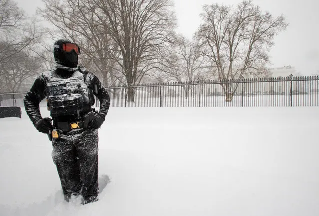 A uniformed U.S. Secret Service police officer stands guard in a knee-deep snow outside the White House in Washington, Saturday, January 23, 2016, as snow continues to fall. (Photo by Manuel Balce Ceneta/AP Photo)