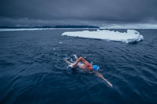 In this February 19, 2015 photo, provided by 5 Swims Expedition, Lewis Pugh, of the United Kingdom, swims past a floating slab of ice in the Ross Sea in Antarctica. An extreme swimmer from Britain, Pugh completed the last of four swims in the ocean near Antarctica this month, including two that were further south than anybody had ever swum before. (Photo by Kelvin Trautman/AP Photo)