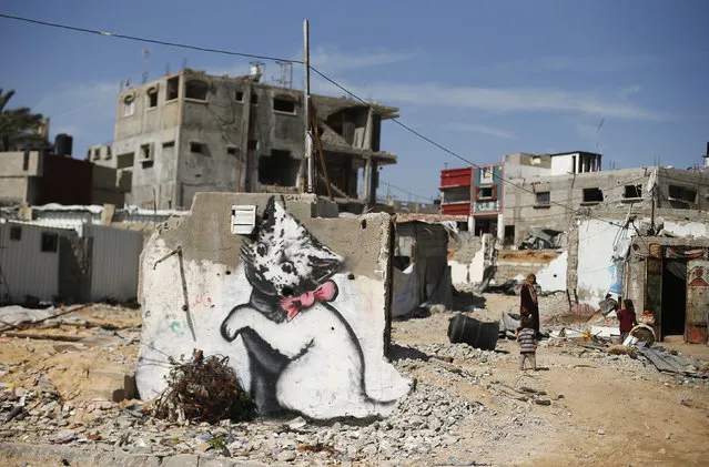 A mural of a playful-looking kitten, presumably painted by British street artist Banksy, is seen on the remains of a house that witnesses said was destroyed by Israeli shelling during a 50-day war last summer, in Biet Hanoun town in the northern Gaza Strip, February 26, 2015. (Photo by Suhaib Salem/Reuters)