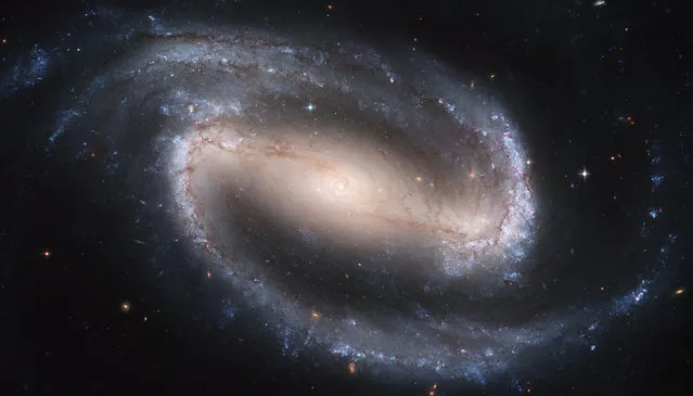 This image made by the NASA/ESA Hubble Space Telescope shows the barred spiral galaxy NGC 1300. It is considered to be prototypical of barred spiral galaxies. (Photo by NASA/ESA, Hubble Heritage Team STScI/AURA via AP Photo)