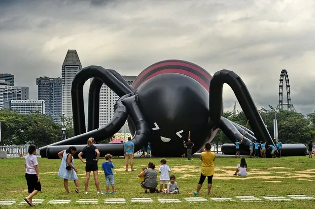 People watch as workers inflate a near-10 metre high giant spider by Singaporean artist Jackson Tan in Singapore's Marina Bay financial district on February 6, 2017. The spider is one of several inflatable creatures that will form the Art-Zoo, a section created by Singaporean artist Jackson Tan for the iLight Marina Bay annual light-art festival in the city-state. (Photo by Roslan Rahman/AFP Photo)