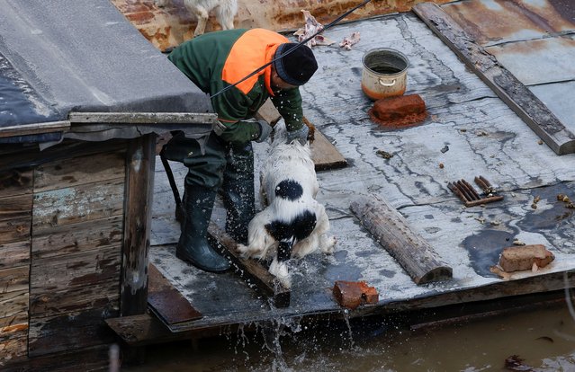Local resident Alexander Timofeyevich pulls a dog that fell into the water to the roof of his flooded house in Orenburg, Russia, on April 12, 2024. (Photo by Maxim Shemetov/Reuters)