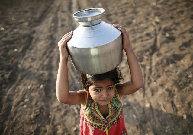 A girl carries a metal pitcher filled with water through a field in Latur, India, April 17, 2016. (Photo by Danish Siddiqui/Reuters)