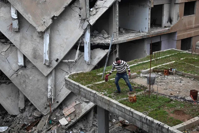 Mohamed Ataya, a 31- year- old Syrian man known as “Abu Maher”, tends to his plants on the rooftop of his damaged building in the Syrian rebel- held town of Arbin, in the eastern Ghouta region on the outskirts of the capital Damascus on March 3, 2017 Ataya, who used to be a professional football player before the war, cultivates seeds for sale. (Photo by Amer Almohibany/AFP Photo)