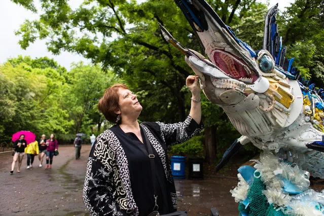 Lead artist Angela Haseltine Pozzi inspects a marlin, one of seventeen giant statues, made from waste recovered from the oceans in Washington, DC on May 23, 2016. (Photo by Keith Lane/The Washington Post)