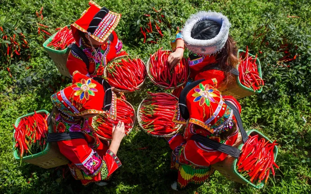 A Look at Life in China