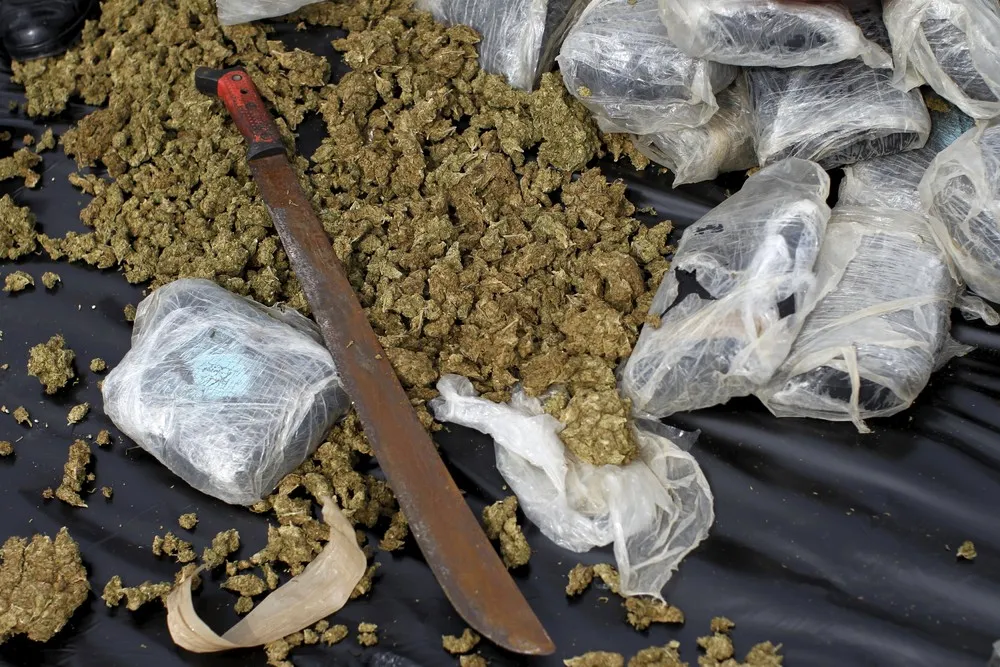 The Day in Photos – July 23, 2015