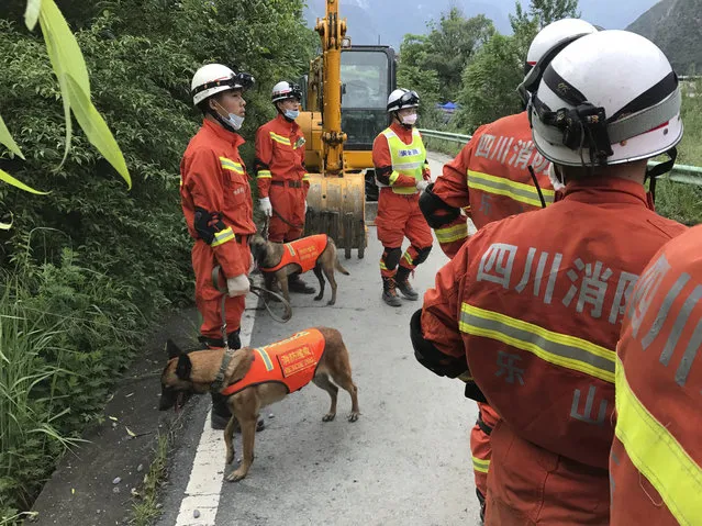 Rescuers with search dogs stand near earthmoving equipment as they wait to work at the site of a landslide in Xinmo village in Maoxian County in southwestern China's Sichuan Province, Sunday, June 25, 2017. (Photo by Ng Han Guan/AP Photo)