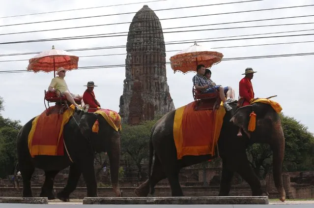 Tourists ride elephants in the ancient Thai capital Ayutthaya, north of Bangkok, Thailand, August 11, 2015. (Photo by Chaiwat Subprasom/Reuters)